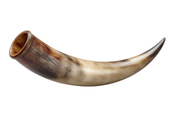 Natural Bull Horn Object isolated on a transparent background