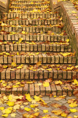 Fallen yellow maple leaves lying on old brick stairs in soft light. Concept of nature, calm and the passage of time.