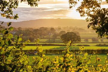 Sunset at May Hill near Longhope in the Forest of Dean, Gloucestershire, England UK