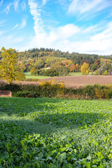 Autumn at May Hill near Longhope in the Forest of Dean, Gloucestershire, England UK