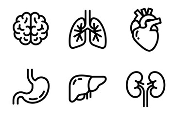 Obraz premium Human Organs Icon Set in Black Outline Style including Brain Lungs Heart Stomach Liver Kidneys Isolated on White Background Anatomy Design
