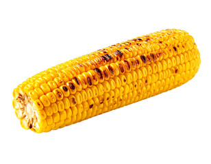 Delicious grilled corn on the cob isolated on transparent background