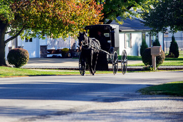 Naklejka premium Amish Buggy Moving Along a Town Street, Sugarcreek, Ohio