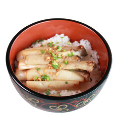 Delicious grilled eel, served on a bed of fluffy rice in a decorative bowl
