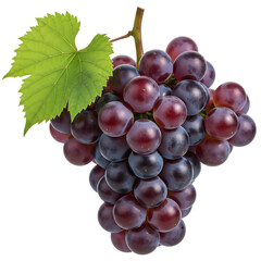 Fototapeta premium Red Grapes with Green Leaf on Stem fruit bunch of grapes