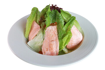 Fresh and healthy salmon salad served on a white plate, ready to be enjoyed