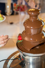 Vibrant chocolate fountain