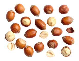 A collection of whole and cracked hazelnuts isolated on transparent background