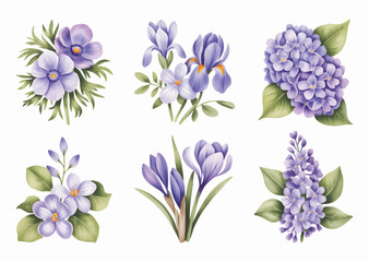 Lilac and crocus watercolor bouquet. Botanical violet and hydrangea watercolor floral set.