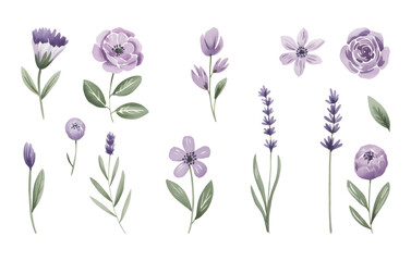Lavender and lilac watercolor floral. Wild meadow blooms in lilac hues.