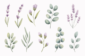 Lavender and lilac watercolor floral. Wild meadow blooms in lilac hues.
