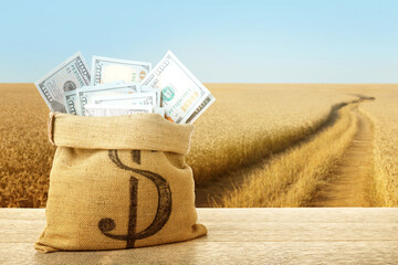 Agricultural production profit. Bag with dollars against wheat field