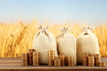 Fotobehang Muziek Agricultural production profit. Money bags and coins against wheat field  © New Africa