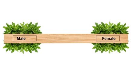 A wooden plank with 'Male' and 'Female' labels, flanked by lush green plants on both sides, symbolizing a connection or balance.
