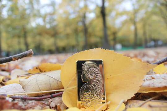 Lingot Or Pamp Automne Nature