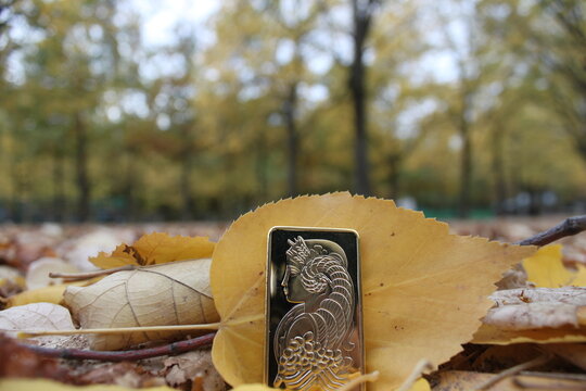 Lingot Or Pamp Automne Nature
