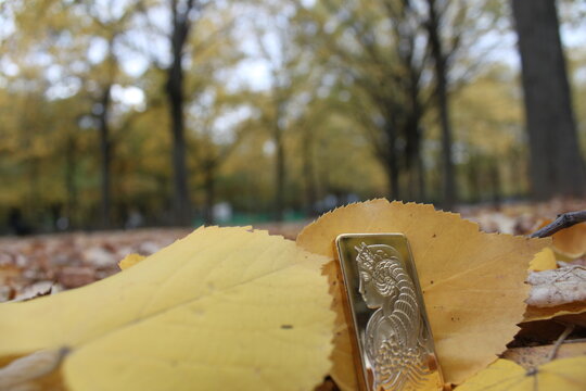 Lingot Or Pamp Automne Nature