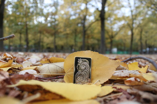 Lingot Or Pamp Automne Nature