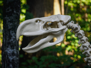 Phorusrhacos – close-up of the skull of a prehistoric predatory bird with trees in the...