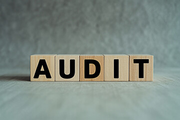Audit process review financial audit compliance audit internal audit external audit business audit risk audit