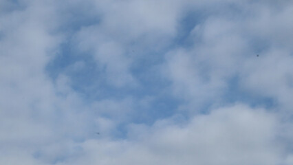 A sky background featuring wispy white clouds scattered across a bright blue expanse.