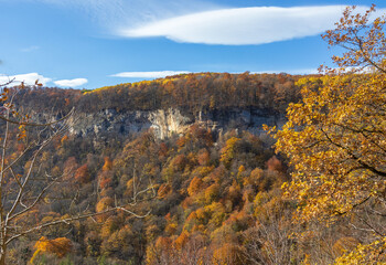 walking in the nature park during the autumn period of the year on a sunny day