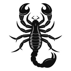 scorpion vector illustration
