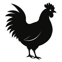 cock and chicken