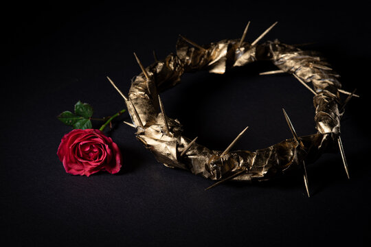 Golden Crown of Thorns and Red Rose on Black . Selected focus