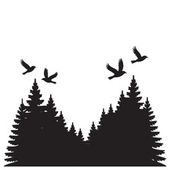 Silhouette of fir trees and birds soaring in the sky, capturing a serene natural scene and peaceful environment