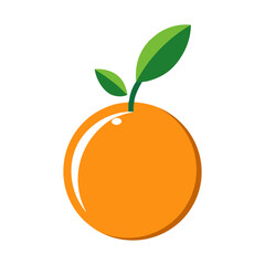 Orange Vector