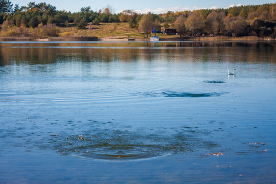 Ripples and splashes on water surface from skipping stones