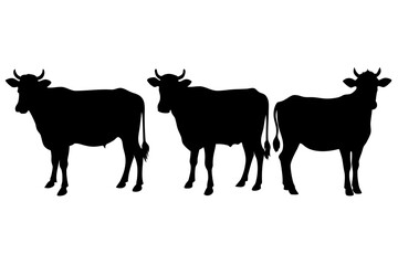 Fototapeta premium cow silhouette vector set, cow black symbol