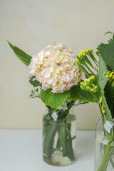 Single pastel hydrangea on neutral background – ideal for minimalist floral mockups and blogs