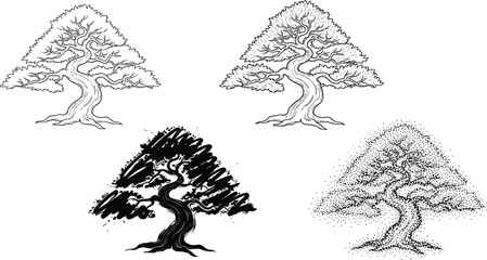 Detailed pine tree illustrations, hand drawn nature art, black and white forest sketches, vintage botanical design, stylized bonsai tree drawings