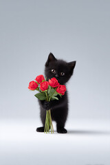 Black Kitten Holding Red Roses Bouquet on Light Backdrop. Cute Furry Cat with Flowers Symbolizing Love and Tenderness. Perfect for Greeting Cards, Posters and Romantic Design. AI generated