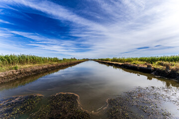Lacassine National Wildlife Refuge, Louisiana, USA