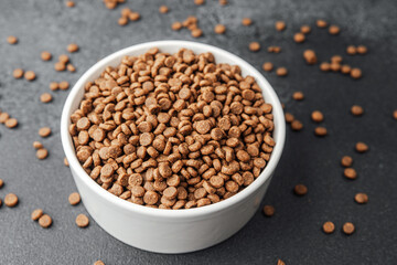 White bowl filled with dry dog food on black background with scattered kibbles