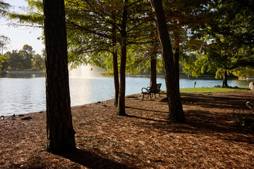 HOUSTON, TEXAS - OCTOBER 18th 2025: Serene park landscape with a calm waterway, arched bridge, lush...