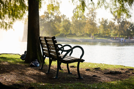HOUSTON, TEXAS - OCTOBER 18th 2025: Serene park landscape with a calm waterway, arched bridge, lush green grass, and vibrant autumn trees, perfect natural backdrop for portrait photography. - Powered by Adobe