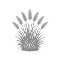 Fototapeta premium Stylized Pampas Grass Clump Silhouette