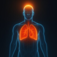 Glowing lung display for medical education, human body, organ, and illustration