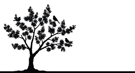 Obraz premium Silhouette of a tree with birds perched on its branches against white