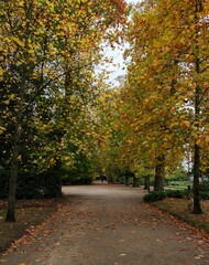 Naklejka premium Le Jardin des Plantes de Nantes en Automne