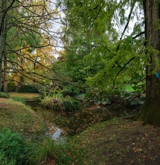 Le Jardin des Plantes de Nantes en Automne