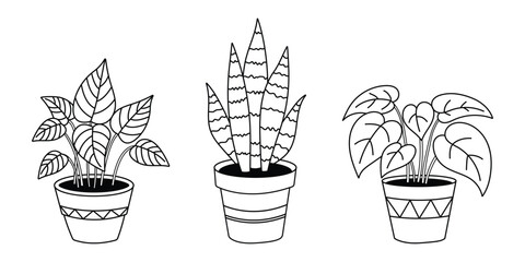 Minimalist Houseplant Line Drawing Vector Icon Set 