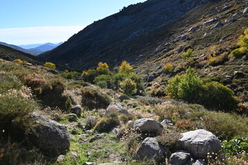Autour d'Aullène en Corse du Sud
