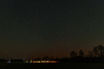 Fototapeta premium Silhouette of pine trees under a starry night sky with a faint orange glow on the horizon, capturing the calm beauty of nature after sunset.