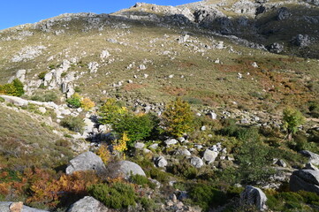 Autour d'Aullène en Corse du Sud