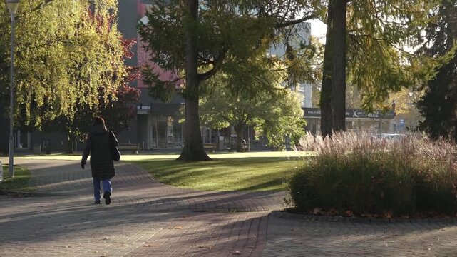 Valmiera, Latvia - October 17, 2025: Woman in black coat walks through park with autumn foliage, camera follows her movement along the path
